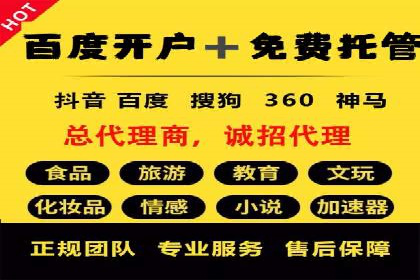 SEM广告投放中的数据监控与调整策略——以某品牌营销案例为例